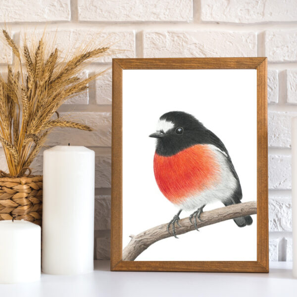 Scarlet Robin (Print) - Image 4