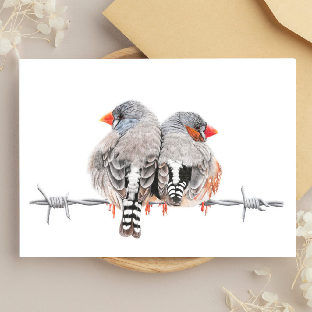 Greeting Cards (set of 6)