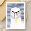 Bulk Greeting Card Pack (50 cards) - Image 11