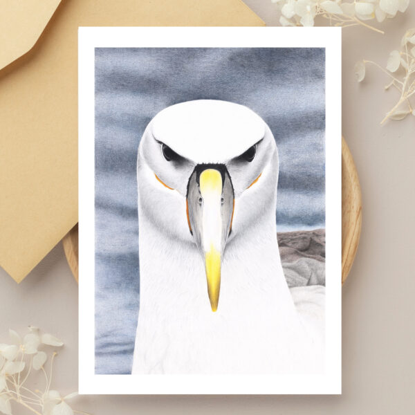Bulk Greeting Card Pack (50 cards) - Image 11