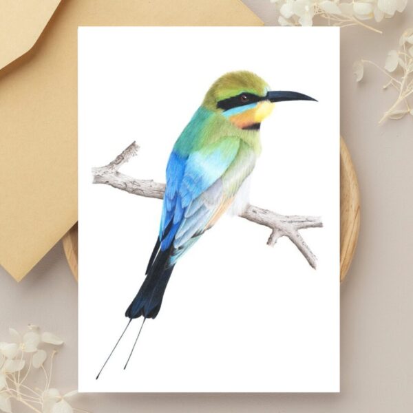 Bulk Greeting Card Pack (50 cards) - Image 9