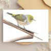 Bulk Greeting Card Pack (50 cards) - Image 7