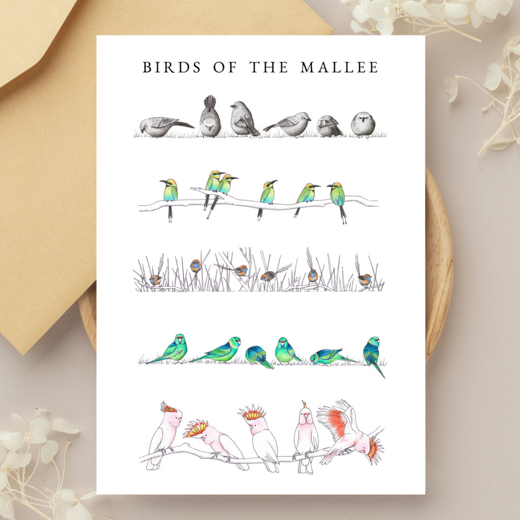 Greeting Cards - Birds of the Mallee (set of 6)
