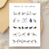 Greeting Cards - Birds of the Shore (set of 6)