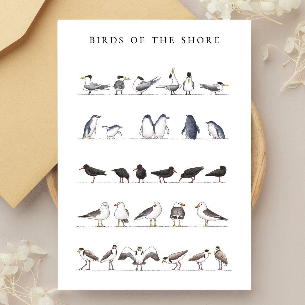 Greeting Cards - Birds of the Shore (set of 6)