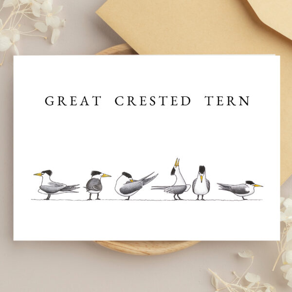 Greeting Cards - Birds of the Shore (set of 6) - Image 2