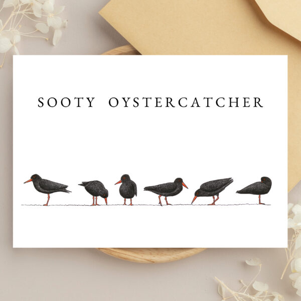 Greeting Cards - Birds of the Shore (set of 6) - Image 4