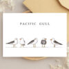 Greeting Cards - Birds of the Shore (set of 6) - Image 5