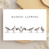 Greeting Cards - Birds of the Shore (set of 6) - Image 6