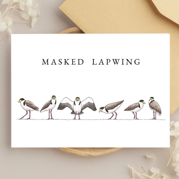 Greeting Cards - Birds of the Shore (set of 6) - Image 6