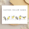 Bulk Greeting Card Pack (50 cards) - Image 29