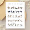 Bulk Greeting Card Pack (50 cards) - Image 30