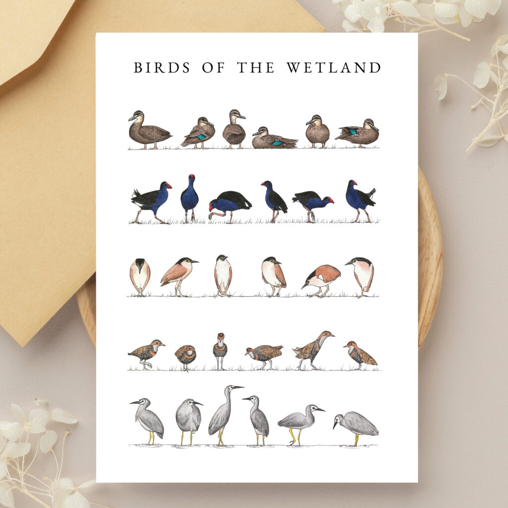 Greeting Cards - Birds of the Wetland (set of 6)