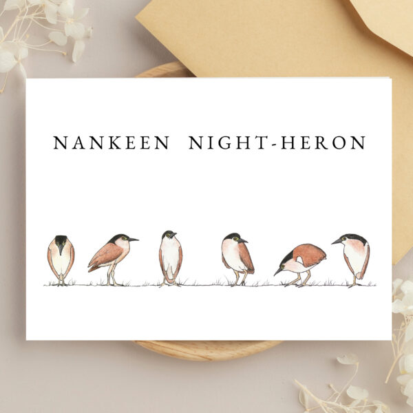 Greeting Cards - Birds of the Wetland (set of 6) - Image 4