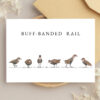 Bulk Greeting Card Pack (50 cards) - Image 34