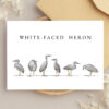 Bulk Greeting Card Pack (50 cards) - Image 35