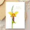 Bulk Greeting Card Pack (50 cards) - Image 40
