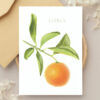 Bulk Greeting Card Pack (50 cards) - Image 39