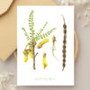 Bulk Greeting Card Pack (50 cards) - Image 38