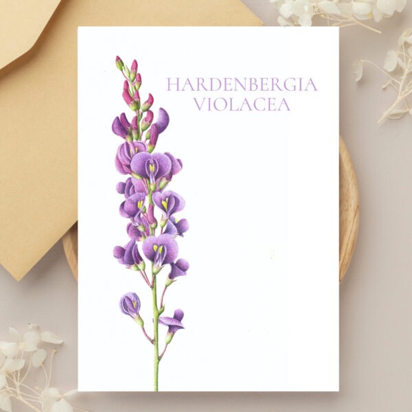 Greeting Cards - Botanicals Set of 6