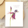Bulk Greeting Card Pack (50 cards) - Image 36