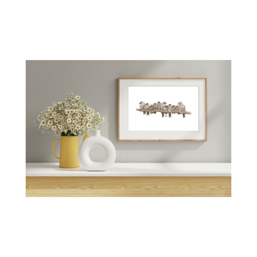 Dusky Woodswallows (Limited Edition Print) - Image 4