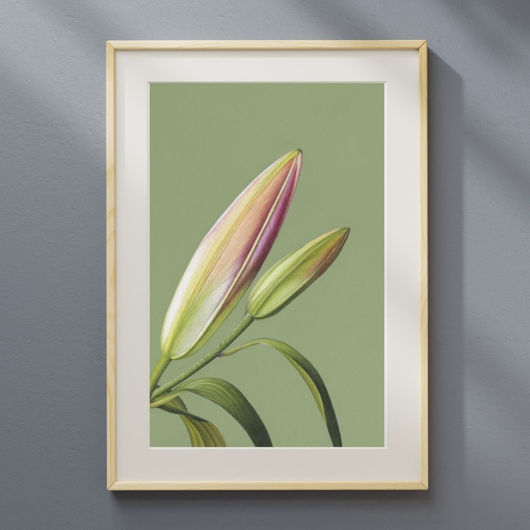 Oriental Lily (Print) - Image 3