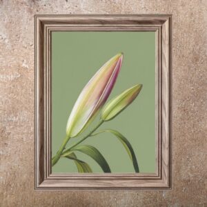 Oriental Lily (Print)