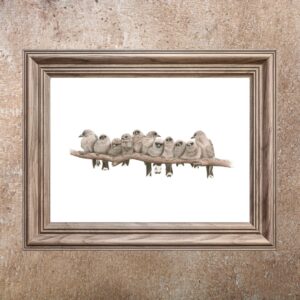 Dusky Woodswallows (Limited Edition Print)