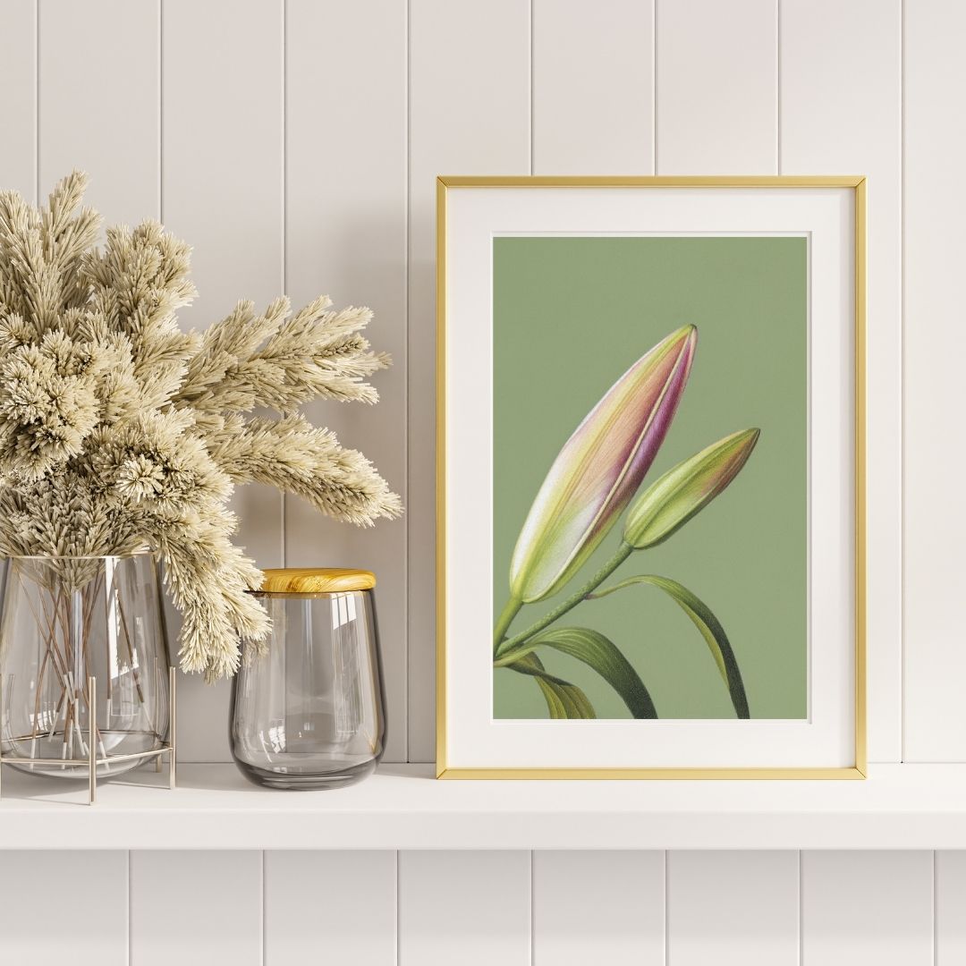 Oriental Lily (Print) - Image 4