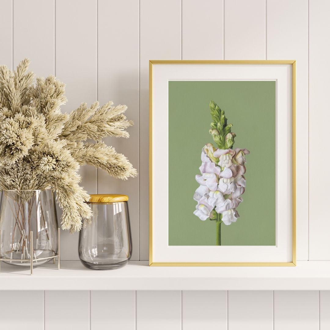 Snapdragon (Print) - Image 4